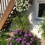 Babsi Appartments - Leben Am Land Apartment Wels