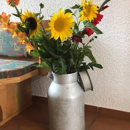 아파트 Babsi Appartments - Leben Am Land *