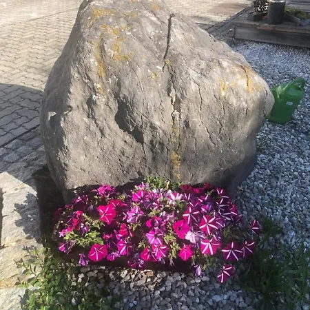 דירה Babsi Appartments - Leben Am Land וולס