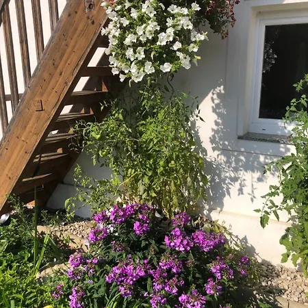 Babsi Appartments - Leben Am Land Apartament Wels
