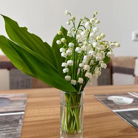 דירה Babsi Appartments - Leben Am Land