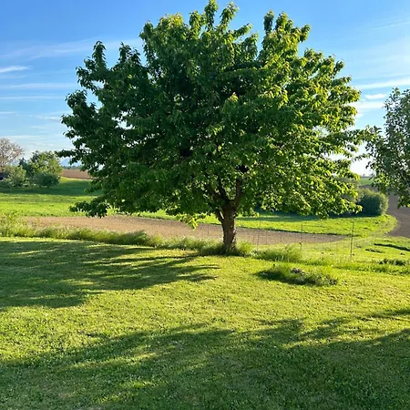 Daire Babsi Appartments - Leben Am Land Wels