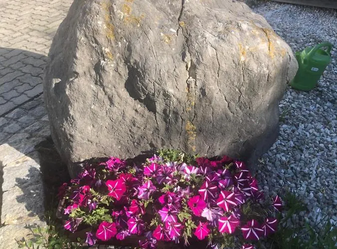 Lejlighed Babsi Appartments - Leben Am Land Wels