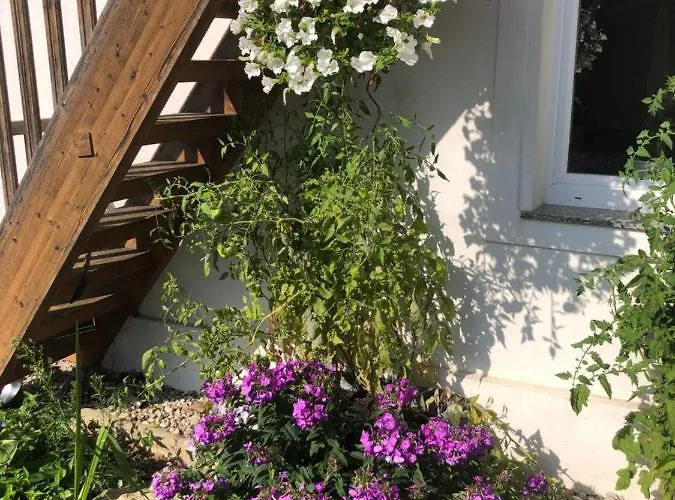 Babsi Appartments - Leben Am Land Lejlighed Wels