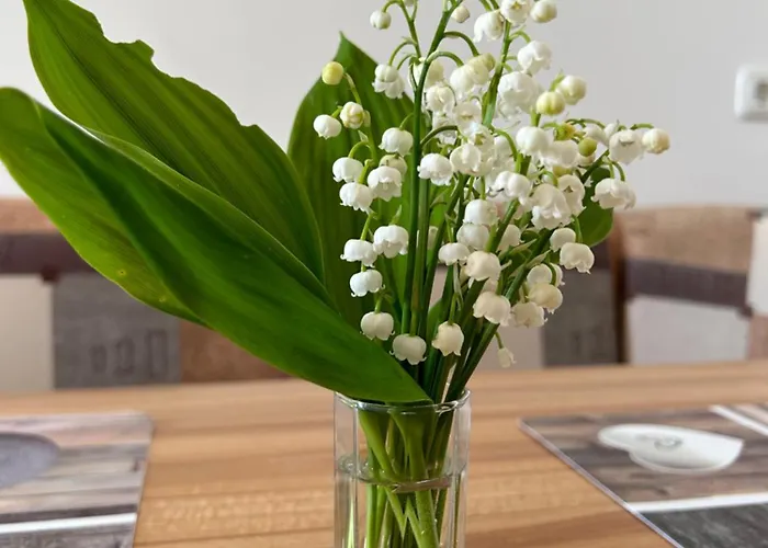 Lejlighed Babsi Appartments - Leben Am Land