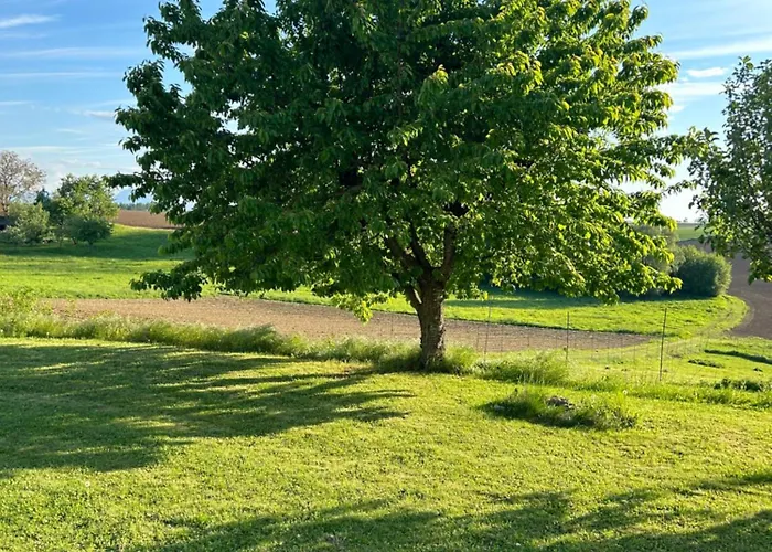 Lejlighed Babsi Appartments - Leben Am Land Wels