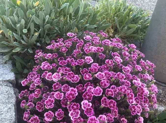 Appartement Babsi Appartments - Leben Am Land Wels